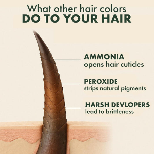 Single Agent Herbal Hair Colorant 100 ml (Pack of 1) - Ashish shop's